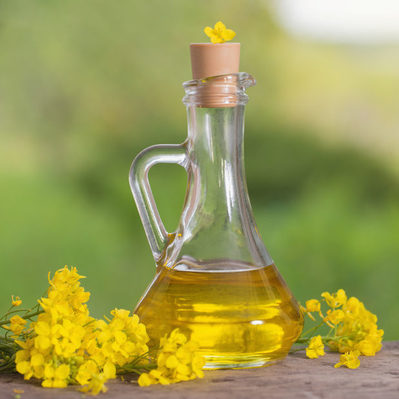 Rapeseed Oil | Food | True Food Fact