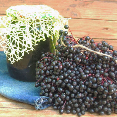 The elderberry is the fruit of the elder plant or Sambucus nigra.