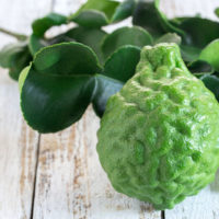 Kaffir Lime Leaves | Food | True Food Fact