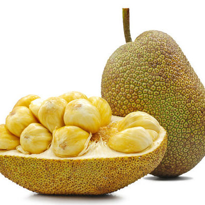 Jackfruit | Food | True Food Fact